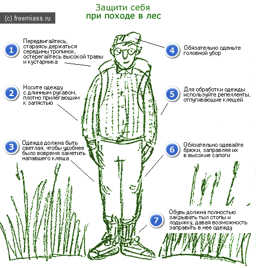 Осторожно, клещи уже проснулись. Пострадал скотовод.