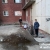 крысы миасс, в миассе, нвости миасс, город миасс, общежитие миасс, мусор миасс,